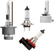 HEADLIGHT BULBS
