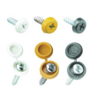 NUMBER PLATE SCREWS